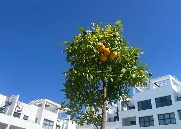 Luxury With Pool In Estepona-centre Estepona