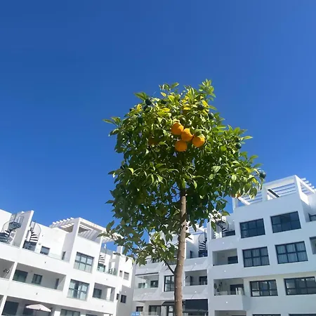 Luxury With Pool In Estepona-centre Естепона